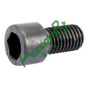 Гвинт з циліндричною головкой14x30 8,8 DIN912 3015872, Lemken